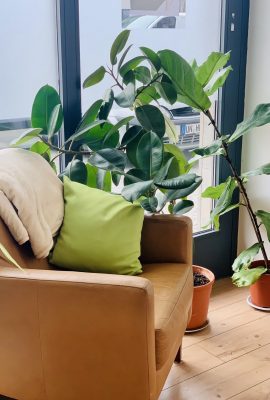 froach office